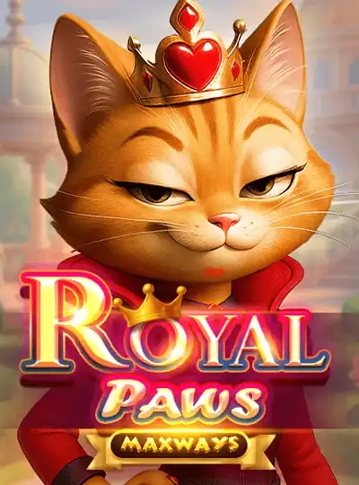 11baji